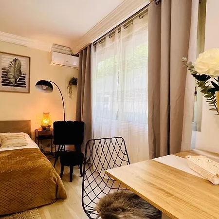 Apartment Le Miramar - Clim, Parking, Wifi Et Piscine Nice