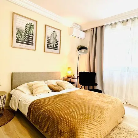 Le Miramar - Clim, Parking, Wifi Et Piscine Apartment Nice