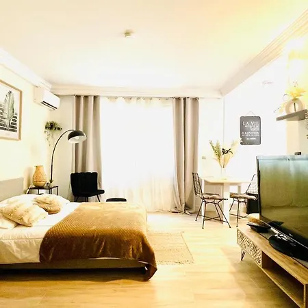 Le Miramar - Clim, Parking, Wifi Et Piscine Apartment Nice